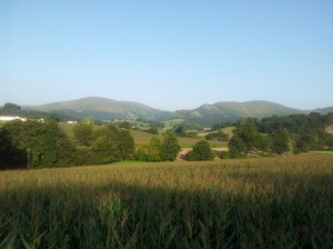 Comienza la diversión